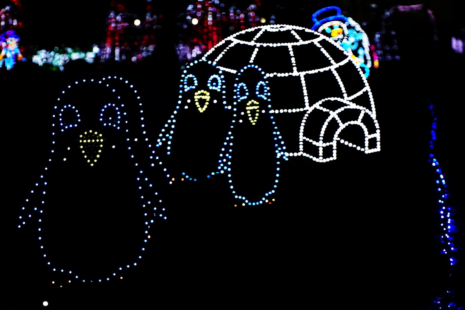 Light sculptures of penguins beside a glowing igloo